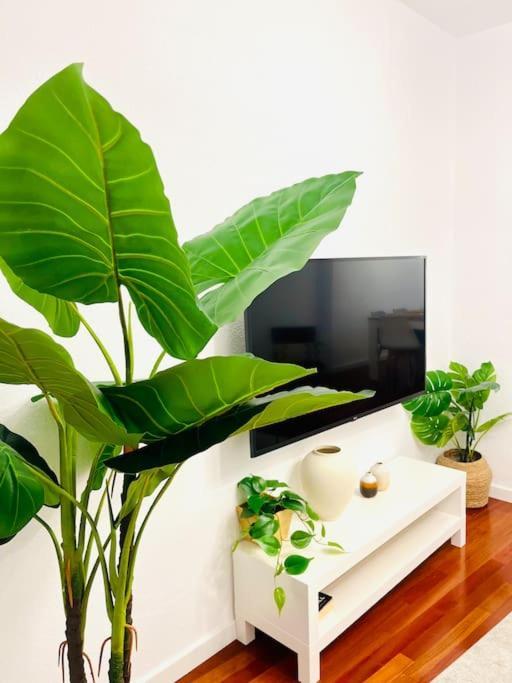 New Elegant In The Heart Of Apartament Malaga